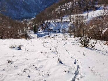 Placevi: 130 ares, Vlasnik — 7