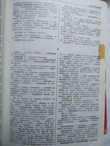 zvucnik i knjiga: Knjiga: Recnik Obod, Cetinje, srp/rus i rus/srp, 631 str. malo ostecen — 5