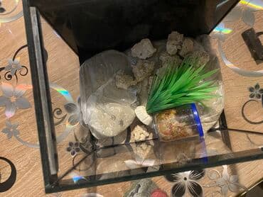 Akvariumi: Akvarijum 5 L . Malo korišten dobija se pesak, kamenčići, veštačka — 6