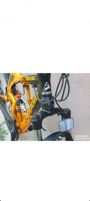 bicikl za mamu i bebu: Capriolo Iguana 260GS bicikl u narandžasto-crnoj boji. Ovaj model — 6