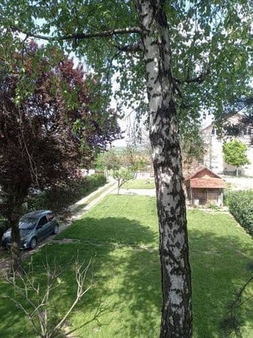 kikinda oglasi kuce: 200 kv. m, 4 sobe — 17