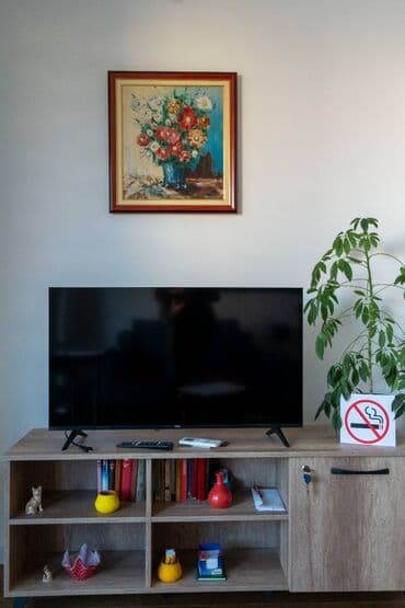 agencija za nekretnine vrnjacka banja: Studio-stan — 11